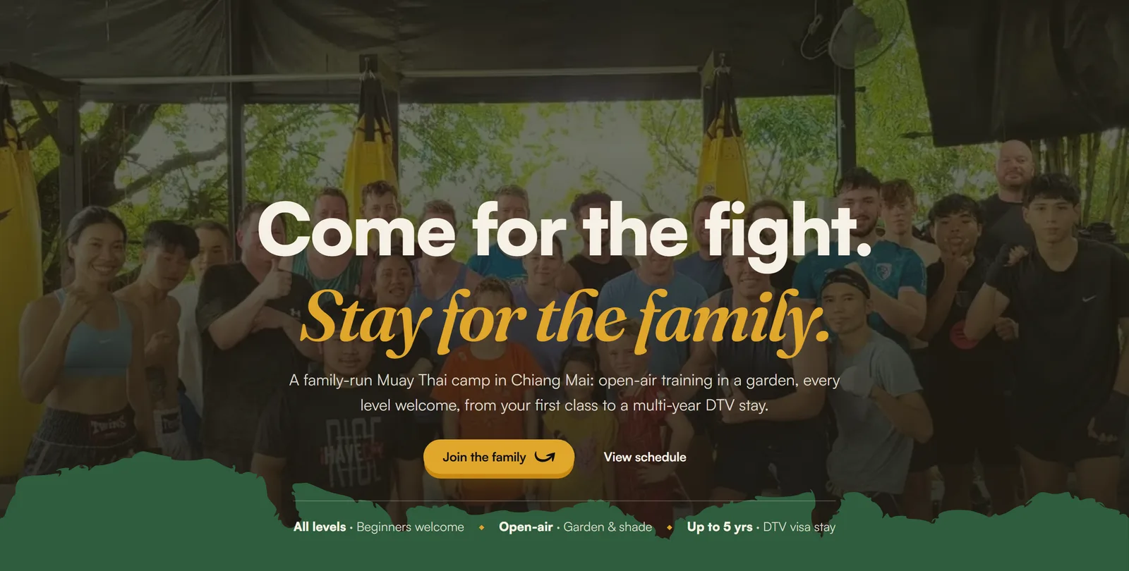 Page d'accueil de Wildcat Muay Thai — Come for the fight, stay for the family